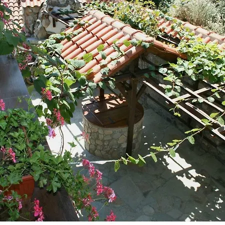 Enchevite Strannopriemnitsi Maison d'hôtes *