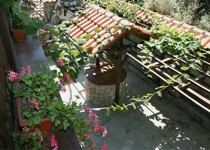 Enchevite Strannopriemnitsi Pensionat 3*